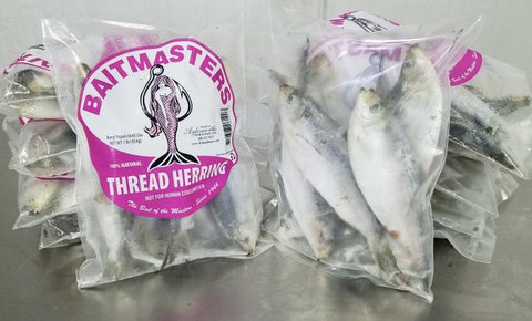 Thread Herring 1lb